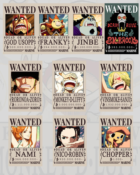 Cuadros Decorativos One Piece